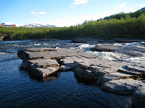 Abisko Juni 2009 dag 5 - 46.jpg